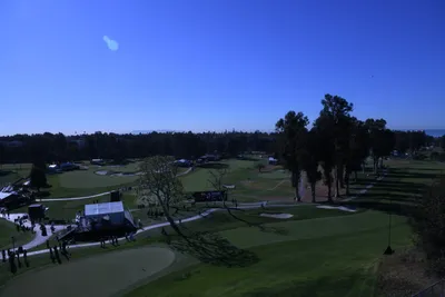 DSC_0729 (Large).JPG